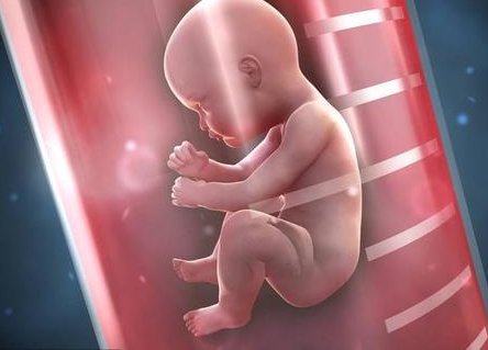 深圳三代试管婴儿有私立机构吗？深圳第三代试管婴儿